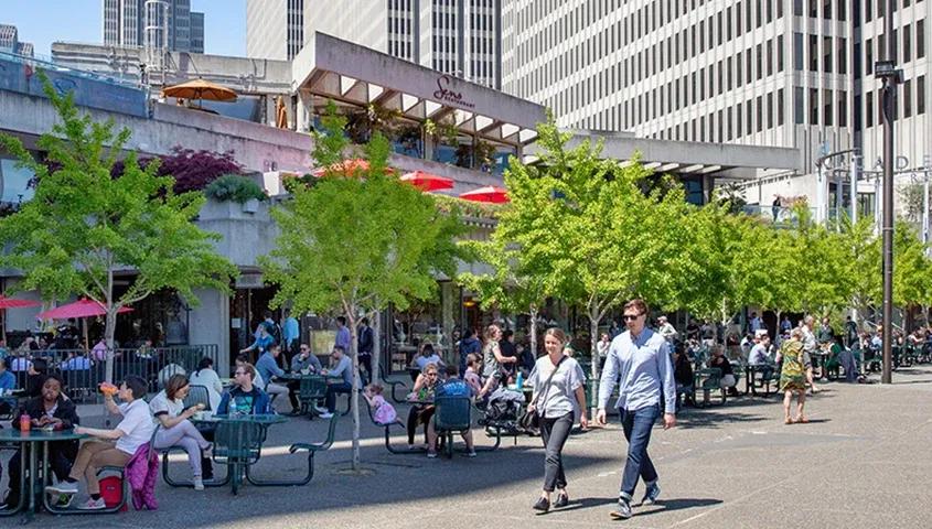 temp_image_SFO_Meta_C2_CATSNE_subcat_C1_2_2_53c8a17e46