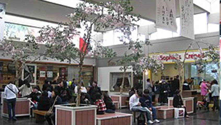 temp_image_SFO_Meta_C2_CATSNE_subcat_C1_3_0_ad1ad8ac71