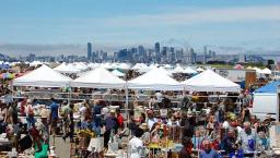 temp_image_SFO_Meta_C2_CATSNE_subcat_C2_1_0_65a7920522