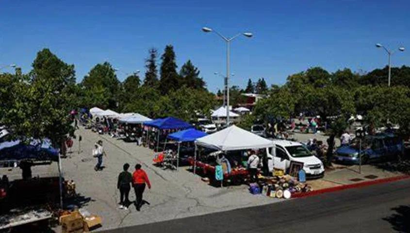 temp_image_SFO_Meta_C2_CATSNE_subcat_C2_2_1_eb318f1dda