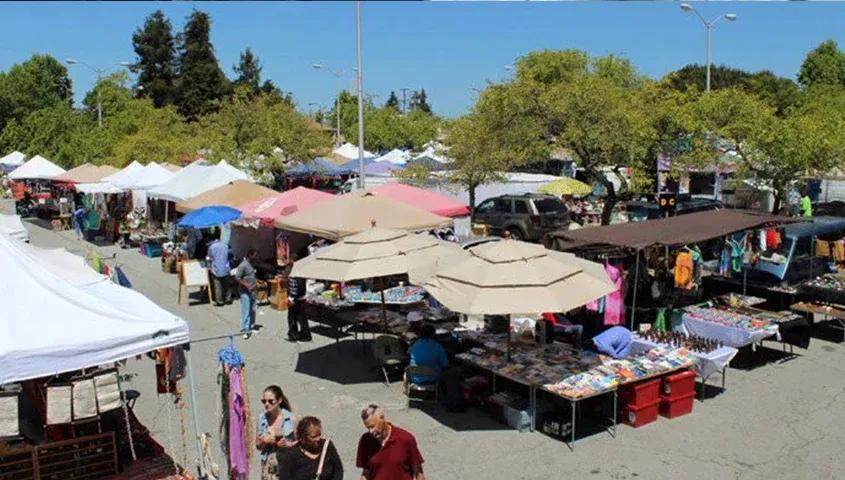 temp_image_SFO_Meta_C2_CATSNE_subcat_C2_2_2_881df09c97