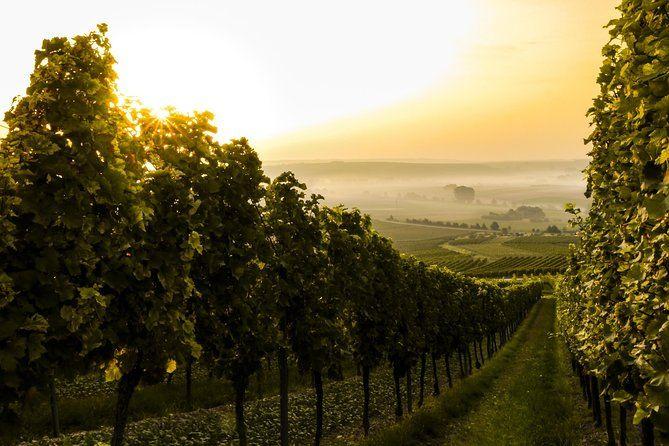 temp_image_SFO_Meta_C2_CATTTD_subcat_B20_1_23_37682c8814