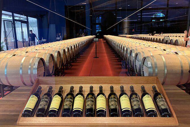 temp_image_SFO_Meta_C2_CATTTD_subcat_B20_3_1_b73fec0969