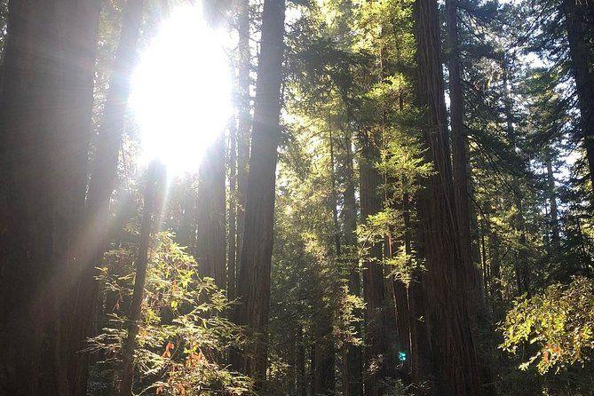 temp_image_SFO_Meta_C2_CATTTD_subcat_B20_6_5_e768356e78