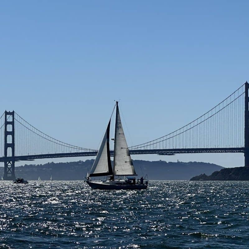 temp_image_SFO_MetaC2_CATTTD_subcatB6_1_0.jpg