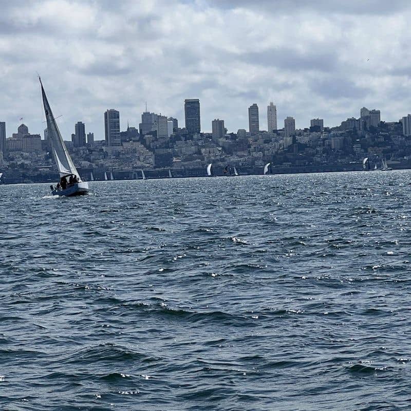 temp_image_SFO_MetaC2_CATTTD_subcatB6_1_13.jpg
