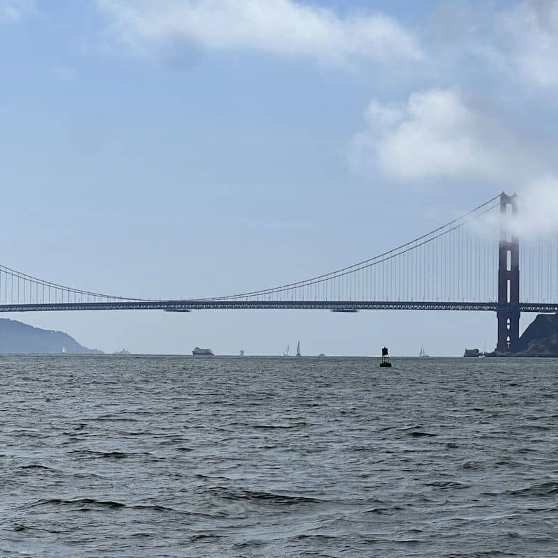 temp_image_SFO_MetaC2_CATTTD_subcatB6_1_17.jpg