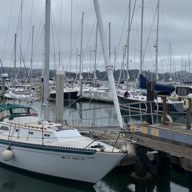 temp_image_SFO_Meta_C2_CATTTD_subcat_B6_1_20_310dcf6af6