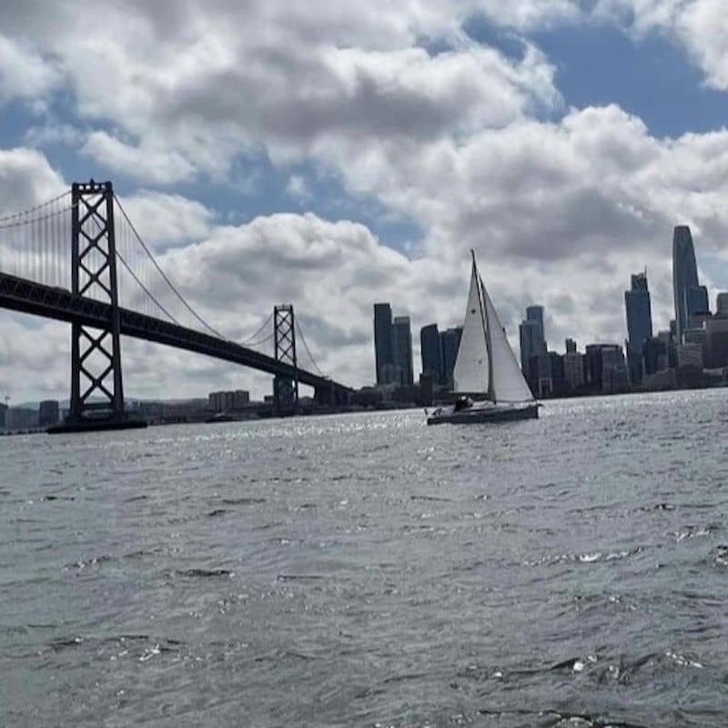 temp_image_SFO_MetaC2_CATTTD_subcatB6_1_2.jpg