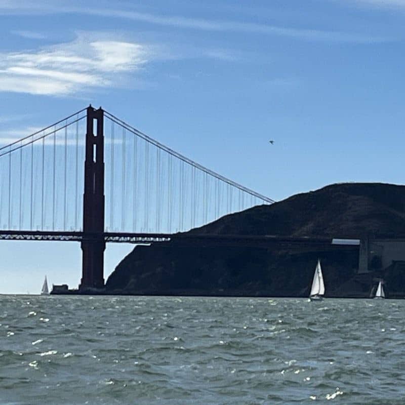 temp_image_SFO_MetaC2_CATTTD_subcatB6_1_3.jpg