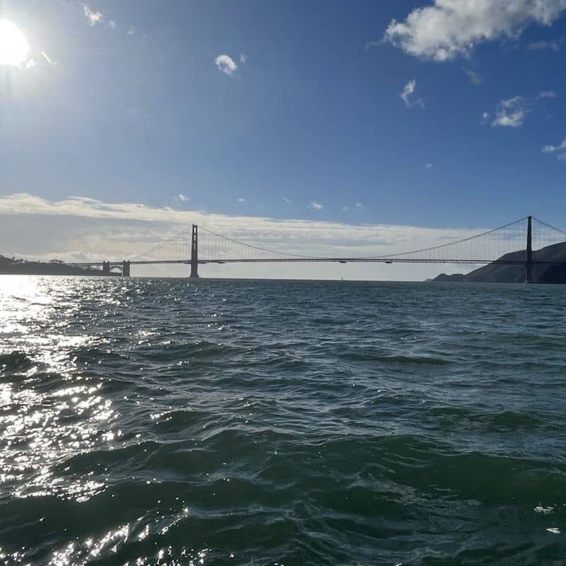 temp_image_SFO_MetaC2_CATTTD_subcatB6_1_9.jpg