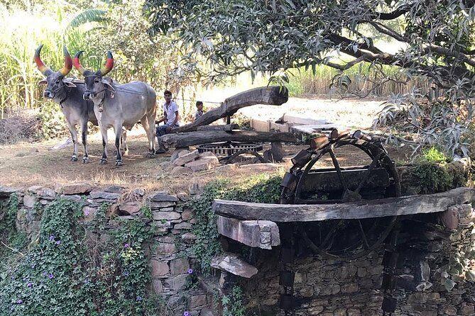 Village Tour by Tuk-Tuk or by Car