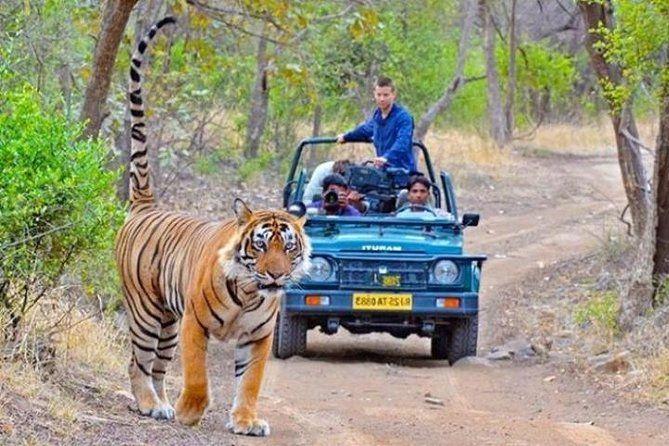 temp_image_UDR_Meta_C1_CATTTS_subcat_A11_2_2_c01f6ddc54