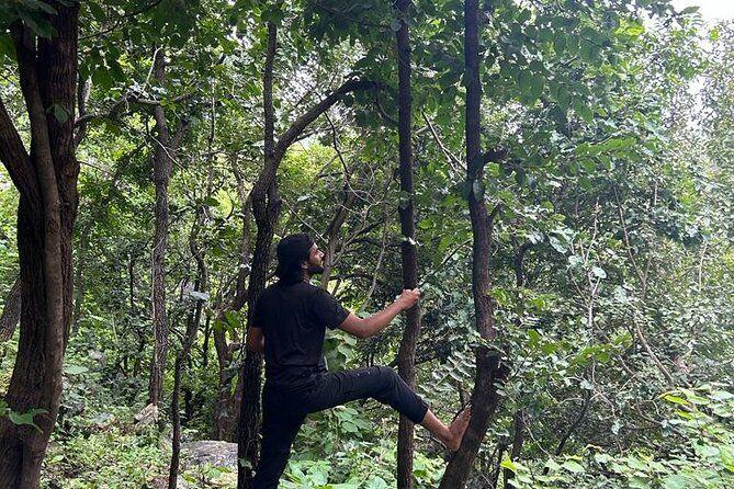 temp_image_UDR_Meta_C2_CATFBD_subcat_E2_2_1_1dedeca824