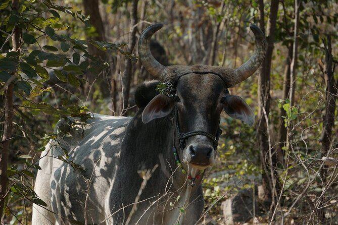 temp_image_UDR_Meta_C2_CATFBD_subcat_E2_2_2_b87a1750ab