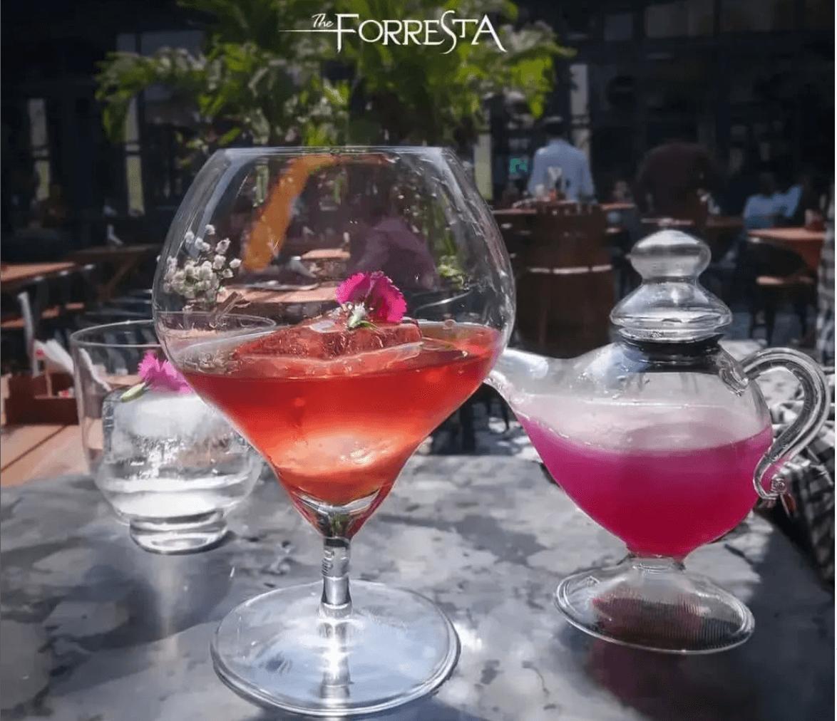 The Forresta Udaipur