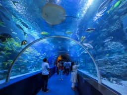 under the sun aquarium (2).webp