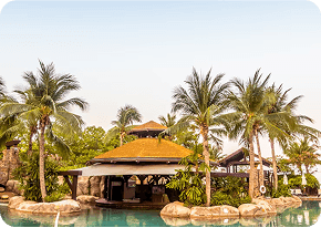 what_trav_4_image_25c3bc3587